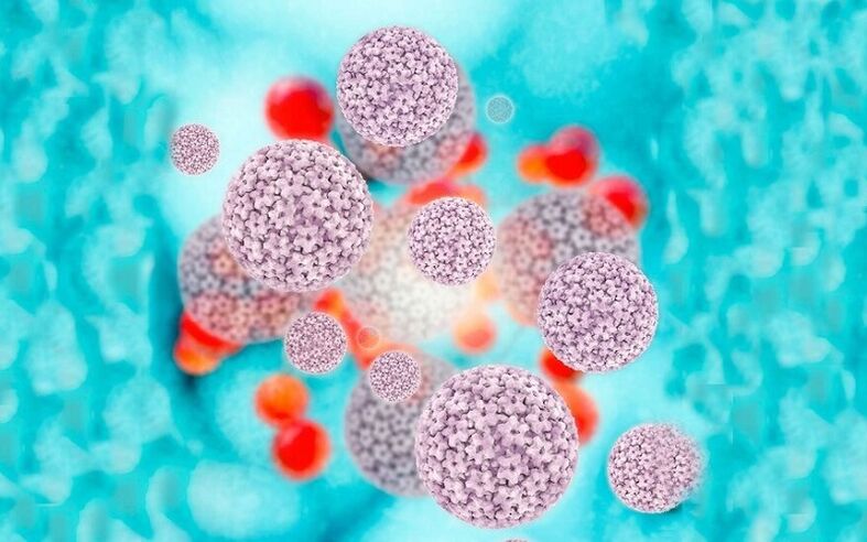 humant papillomavirus som forårsaker papillomer på kjønnsleppene