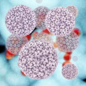humant papillomavirus molekyler