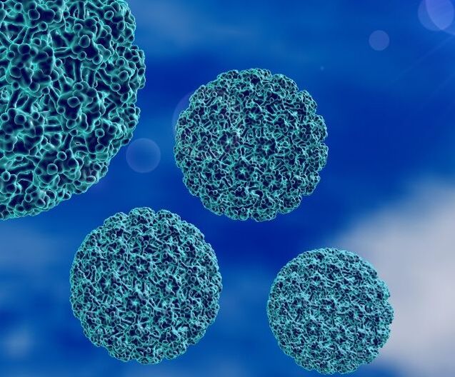 3D-modell av HPV som forårsaker hælvorter
